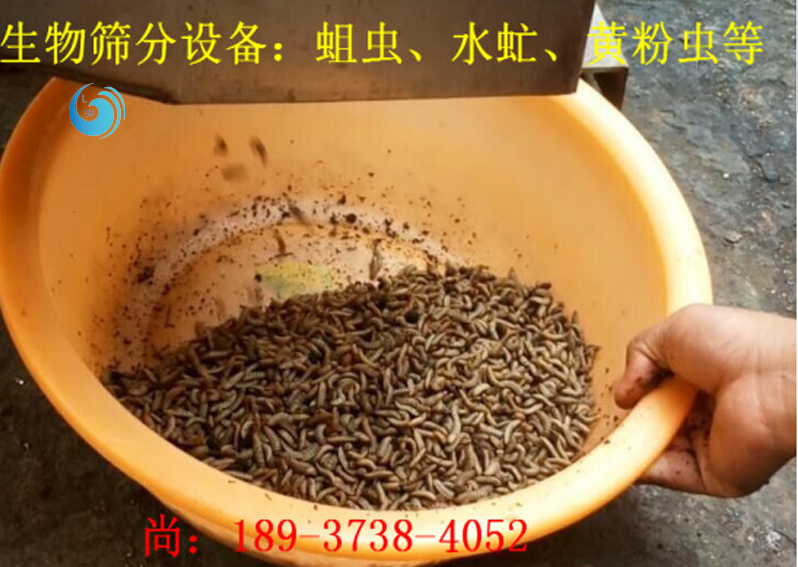 蛆蟲篩選3層蘑菇视频成人APP最新版